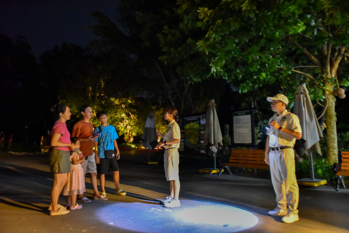 越南富國島夜間動物園Vinpearl Safari 值得夜間探索嗎?6點搞懂如何選擇日間參觀或夜間探險NIGHT SAFARI TOUR - 第8張圖