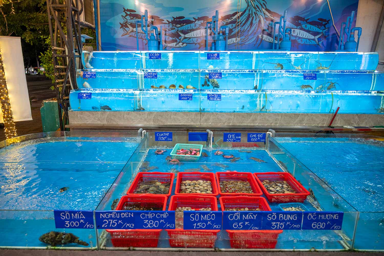 峴港自由行|Năm Châu Seafood 不只蒸龍宴 試試海鮮料理越南吃法超有趣 - 第3張圖