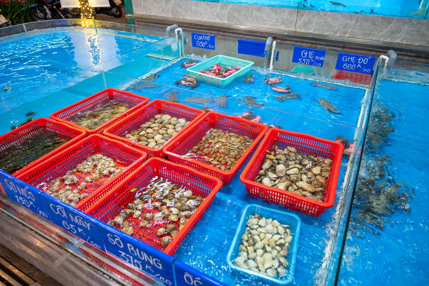 峴港自由行|Năm Châu Seafood 不只蒸龍宴 試試海鮮料理越南吃法超有趣 - 第4張圖