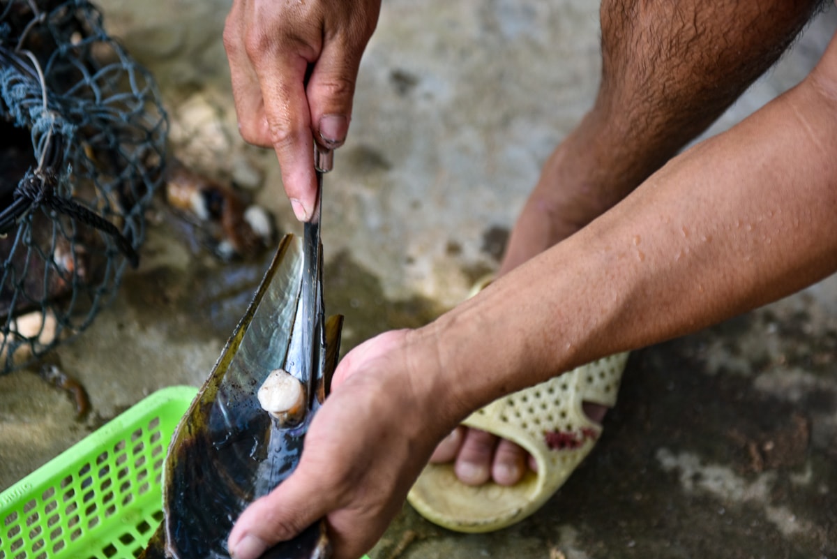 富國島自由行|潮間帶探索與驚喜 海洋探險浮潛、釣魚、採貝嚐嚐最鮮的海味 - 第19張圖