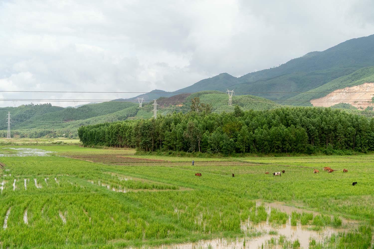 峴港自由行|Cổng Trời Đông Giang東江天門生態旅遊區 深山秘境的民族風情之旅 - 第4張圖