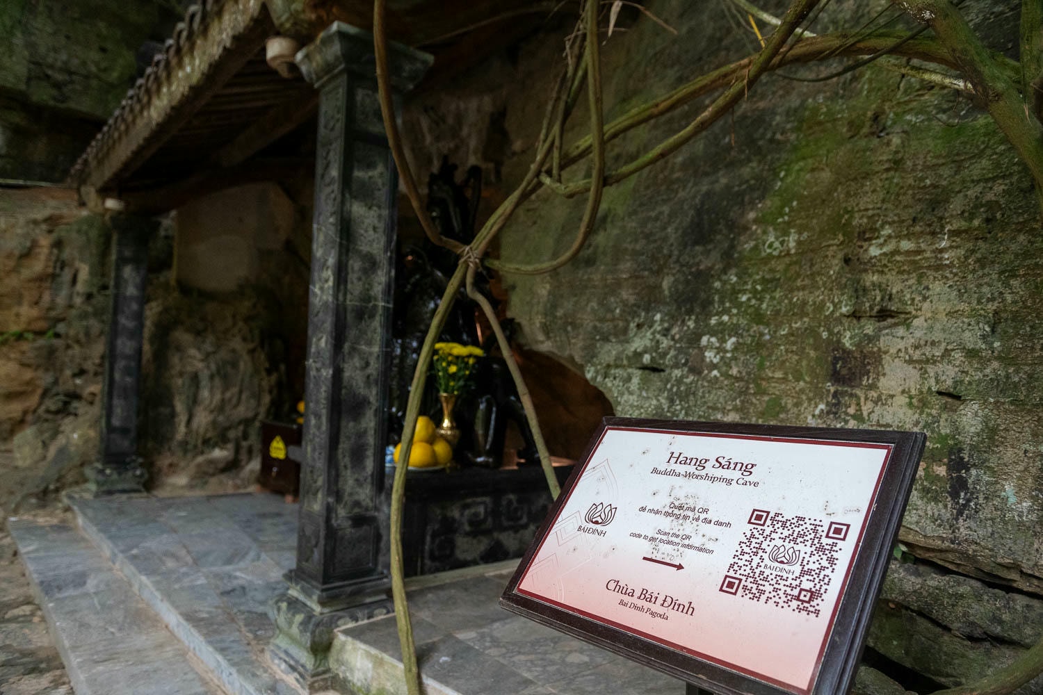寧平自由行|拜頂寺Bai Dinh Pagoda深度攻略!探訪陸龍灣壯麗佛寺及越南最大佛教建築群 - 第9張圖