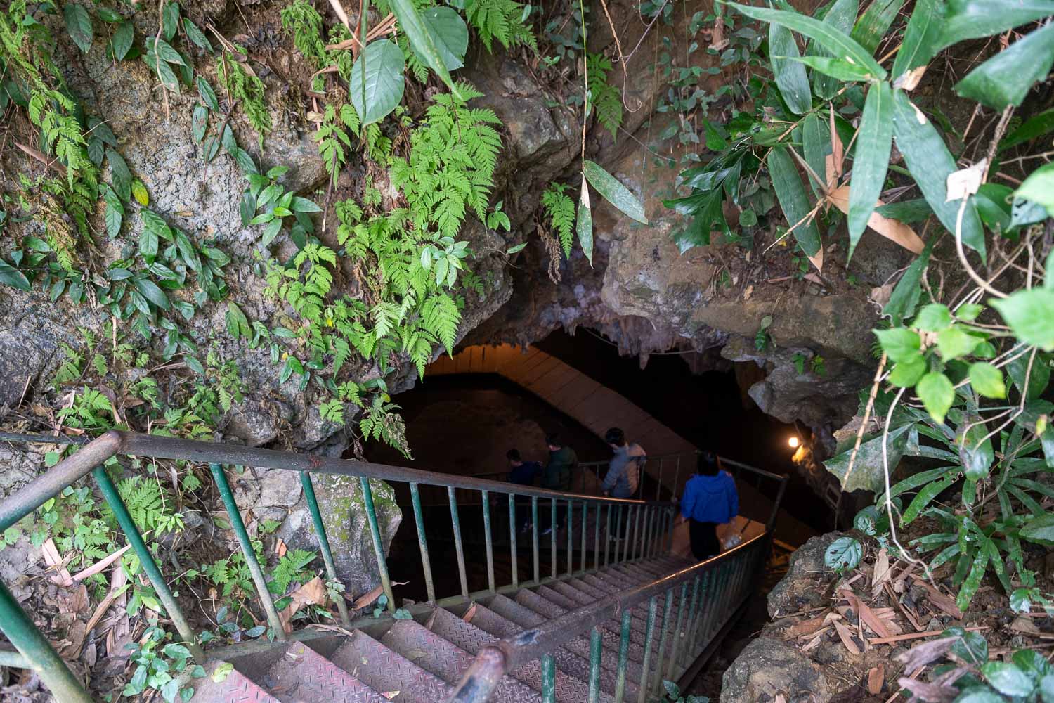 寧平自由行|越南候鳥天堂-松芽鳥類生態旅遊區 3大亮點探索陸龍灣山水秘境 - 第11張圖
