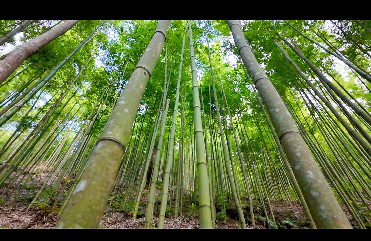 木江界自由行|枯冷的季節的就這麼美,色豐收和翠綠梯田會美到什麼程度? - 第9張圖