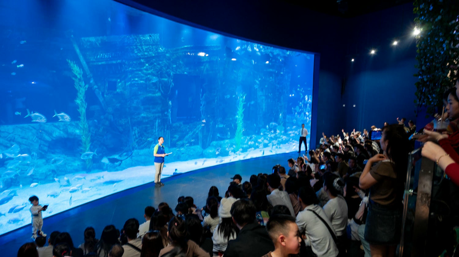 探索河內最大樂天世界水族館亮點一次看!超過30,000海洋生物及90米海底隧道人魚秀沉浸海底世界 - 第35張圖