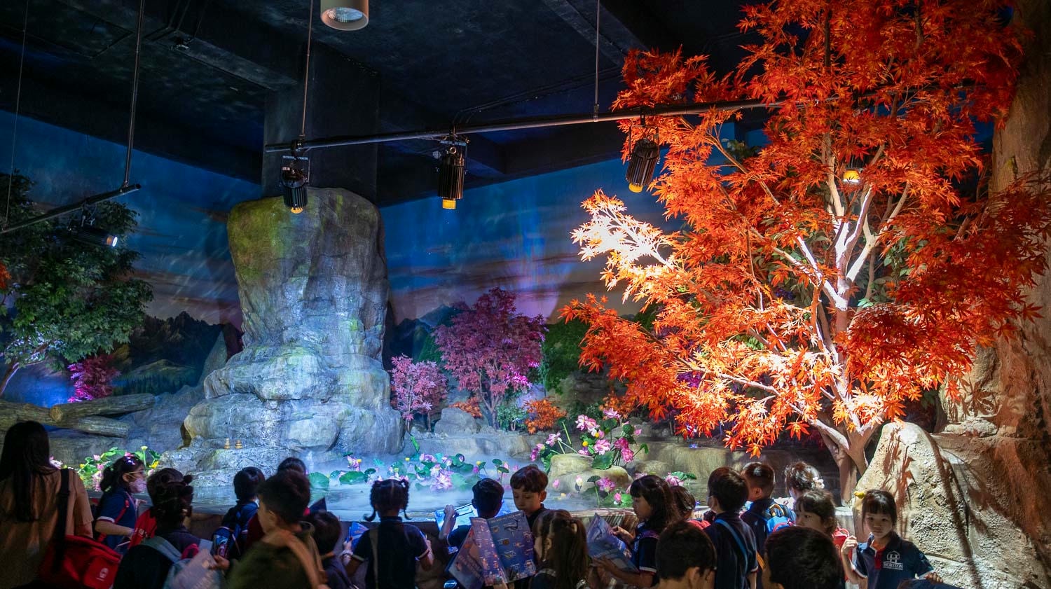 探索河內最大樂天世界水族館亮點一次看!超過30,000海洋生物及90米海底隧道人魚秀沉浸海底世界 - 第7張圖