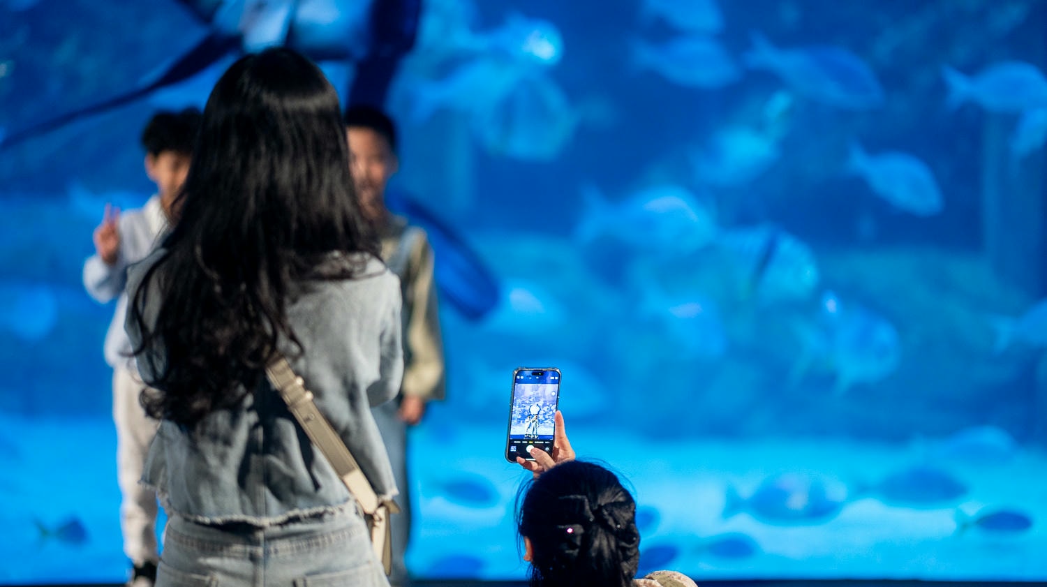探索河內最大樂天世界水族館亮點一次看!超過30,000海洋生物及90米海底隧道人魚秀沉浸海底世界 - 第34張圖