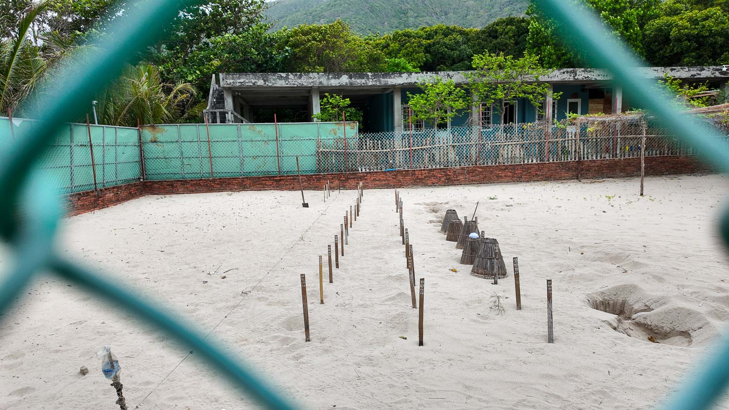 崑崙島一定要體驗跳島,不只見證海底派對,野放海龜體驗絕對值回票價 - 第6張圖