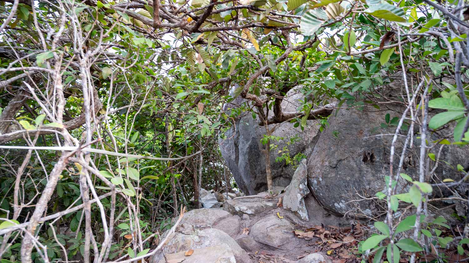 崑崙島象背山:比想像更驚豔的天然脊線,把無聊變有趣,Sống Lưng Con Voi海天一色放空好風光 - 第9張圖