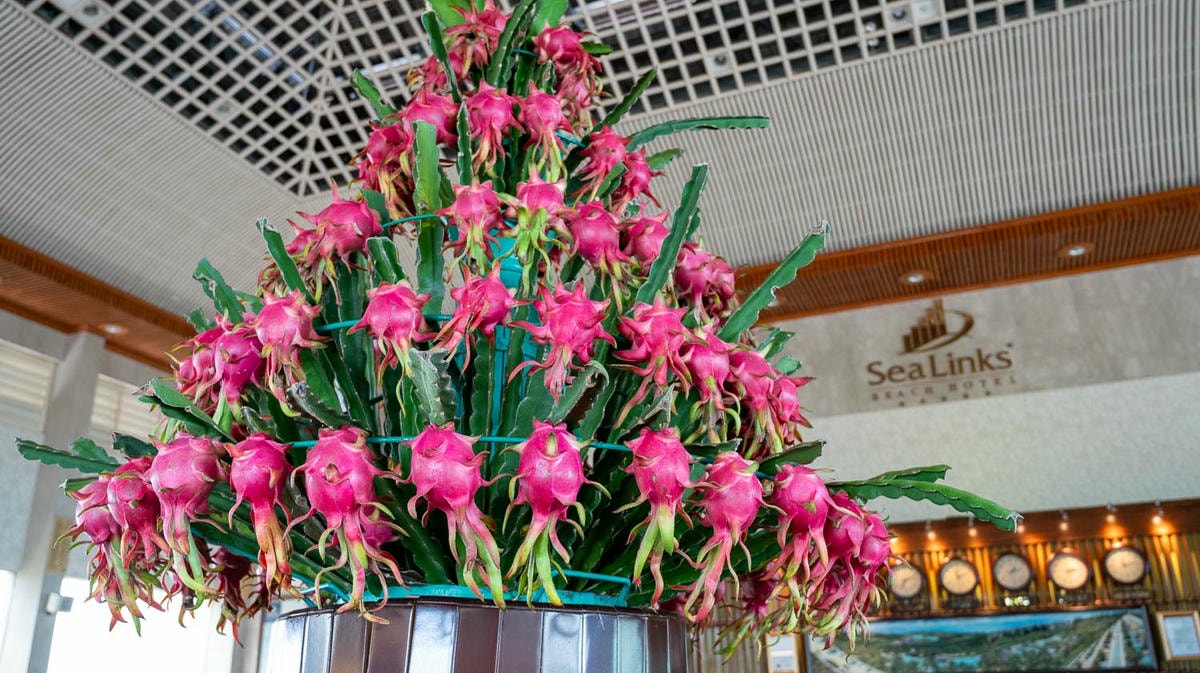 美奈經典度假村Sea Links Beach Hotel 坐擁海景與高爾夫球場及酒莊的溫柔時光 - 第4張圖