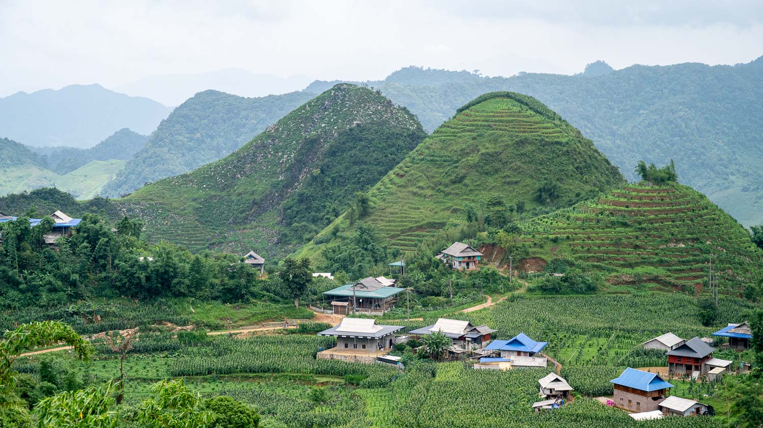 藏於山谷中夢幻桃源梅州Mai Châu|留在稻浪與微風的緩慢時光,美到太犯規的稻香及收割季節 - 第21張圖