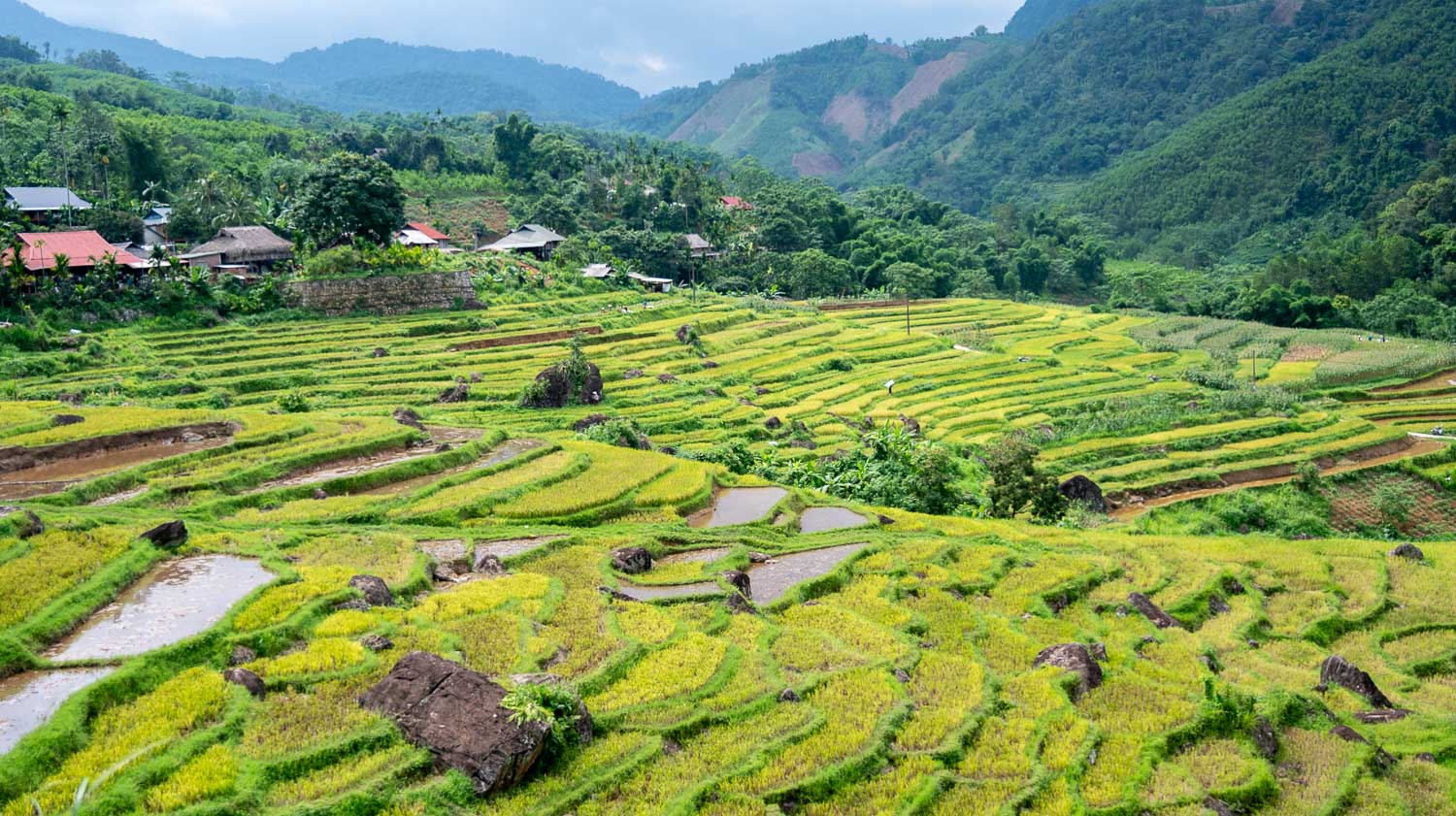 藏於山谷中夢幻桃源梅州Mai Châu|留在稻浪與微風的緩慢時光,美到太犯規的稻香及收割季節 - 第22張圖