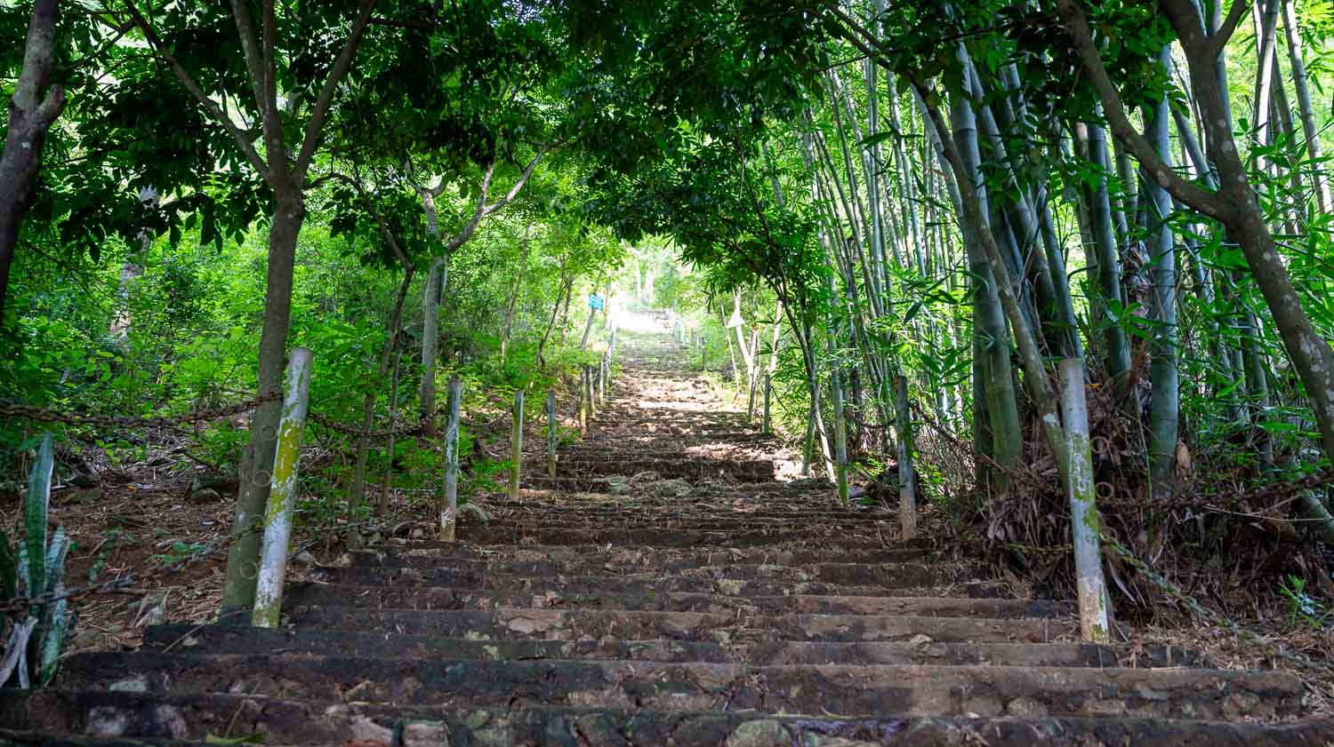 藏於山谷中夢幻桃源梅州Mai Châu|留在稻浪與微風的緩慢時光,美到太犯規的稻香及收割季節 - 第25張圖