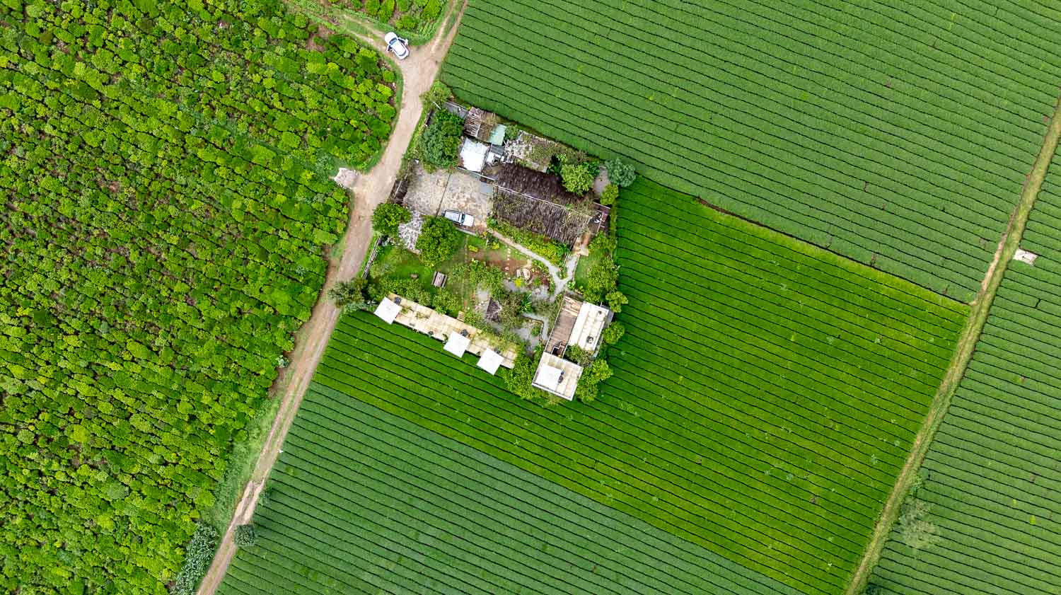 木州雲霧茶園裡的療癒系咖啡小屋, Tiệm Cà Phê Mer 的午後靜䛑咖啡時光 - 第10張圖