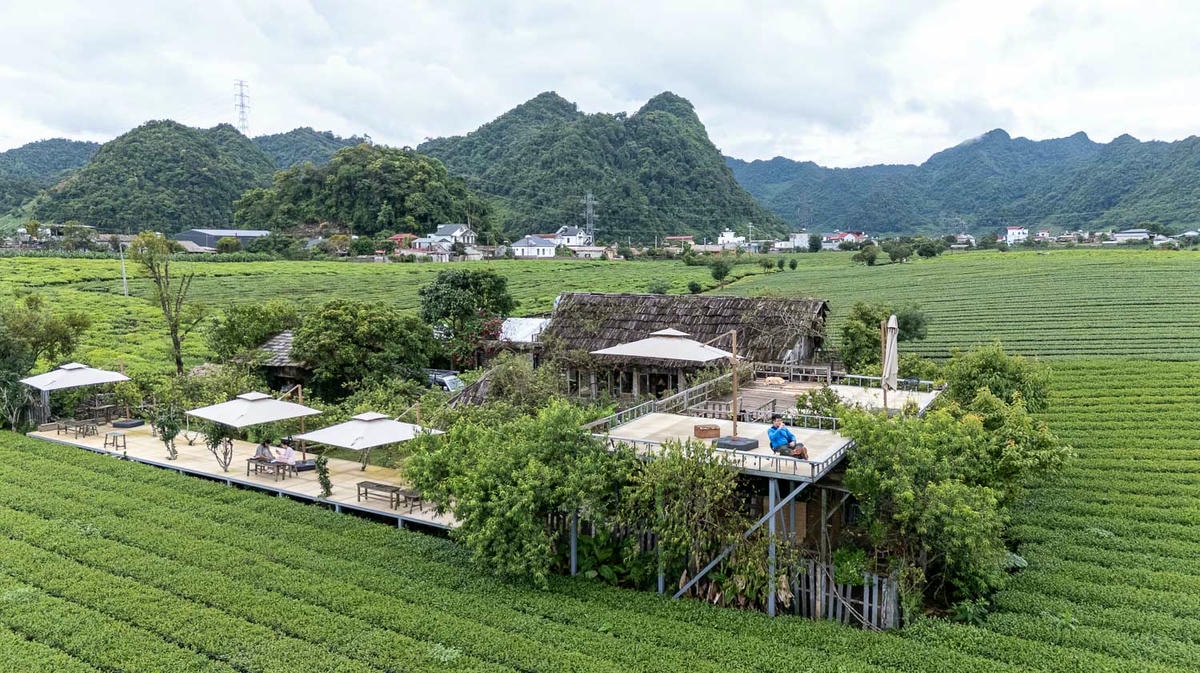 木州雲霧茶園裡的療癒系咖啡小屋, Tiệm Cà Phê Mer 的午後靜䛑咖啡時光 - 第5張圖