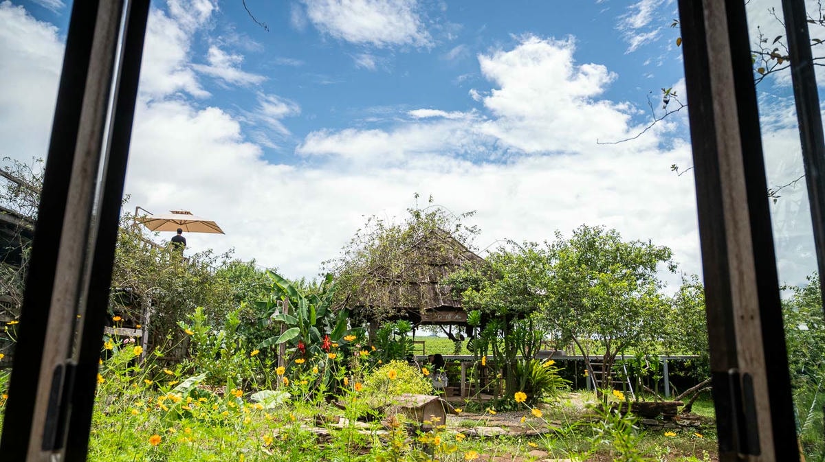 木州雲霧茶園裡的療癒系咖啡小屋, Tiệm Cà Phê Mer 的午後靜䛑咖啡時光 - 第3張圖