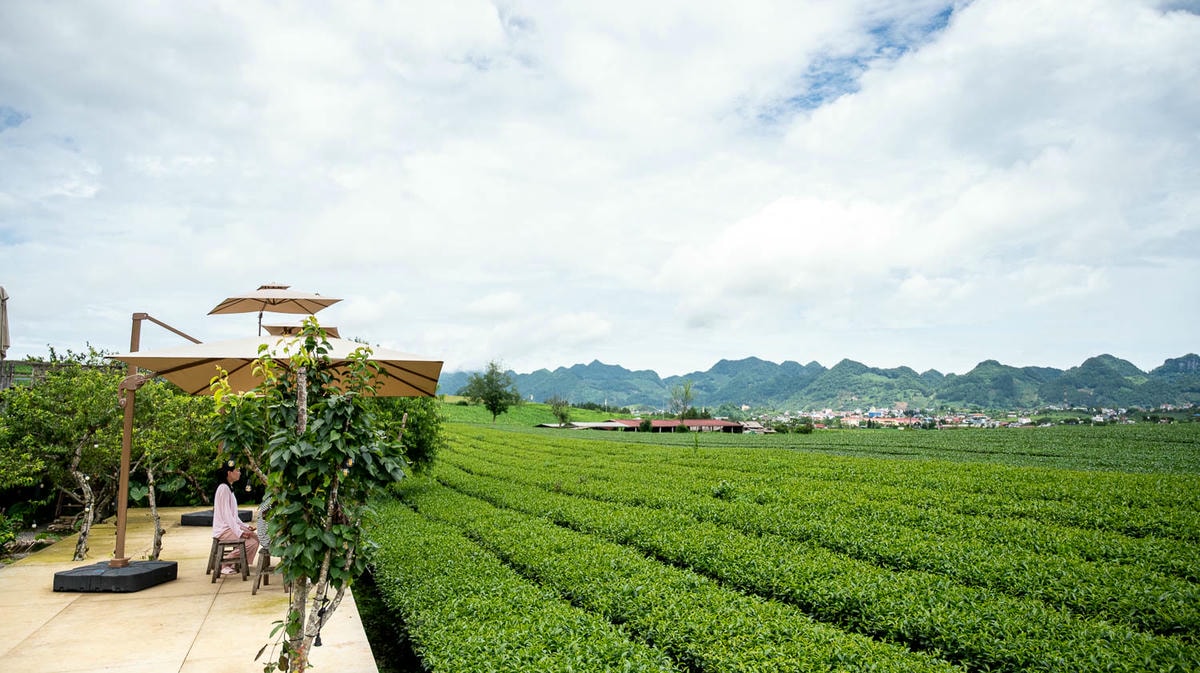 木州雲霧茶園裡的療癒系咖啡小屋, Tiệm Cà Phê Mer 的午後靜䛑咖啡時光 - 第4張圖