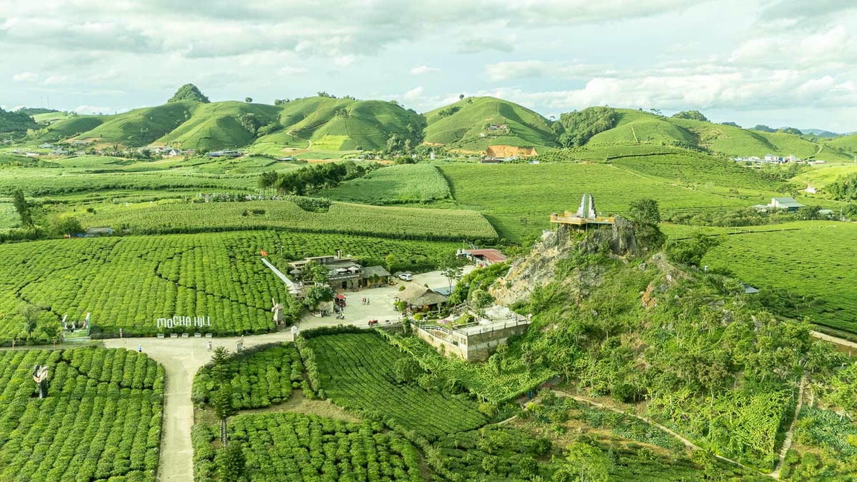 山丘上的夢幻觀景台Mocha Hill!木州最療癒的茶園景點,岩石尖的天空之門超唯美 - 第4張圖