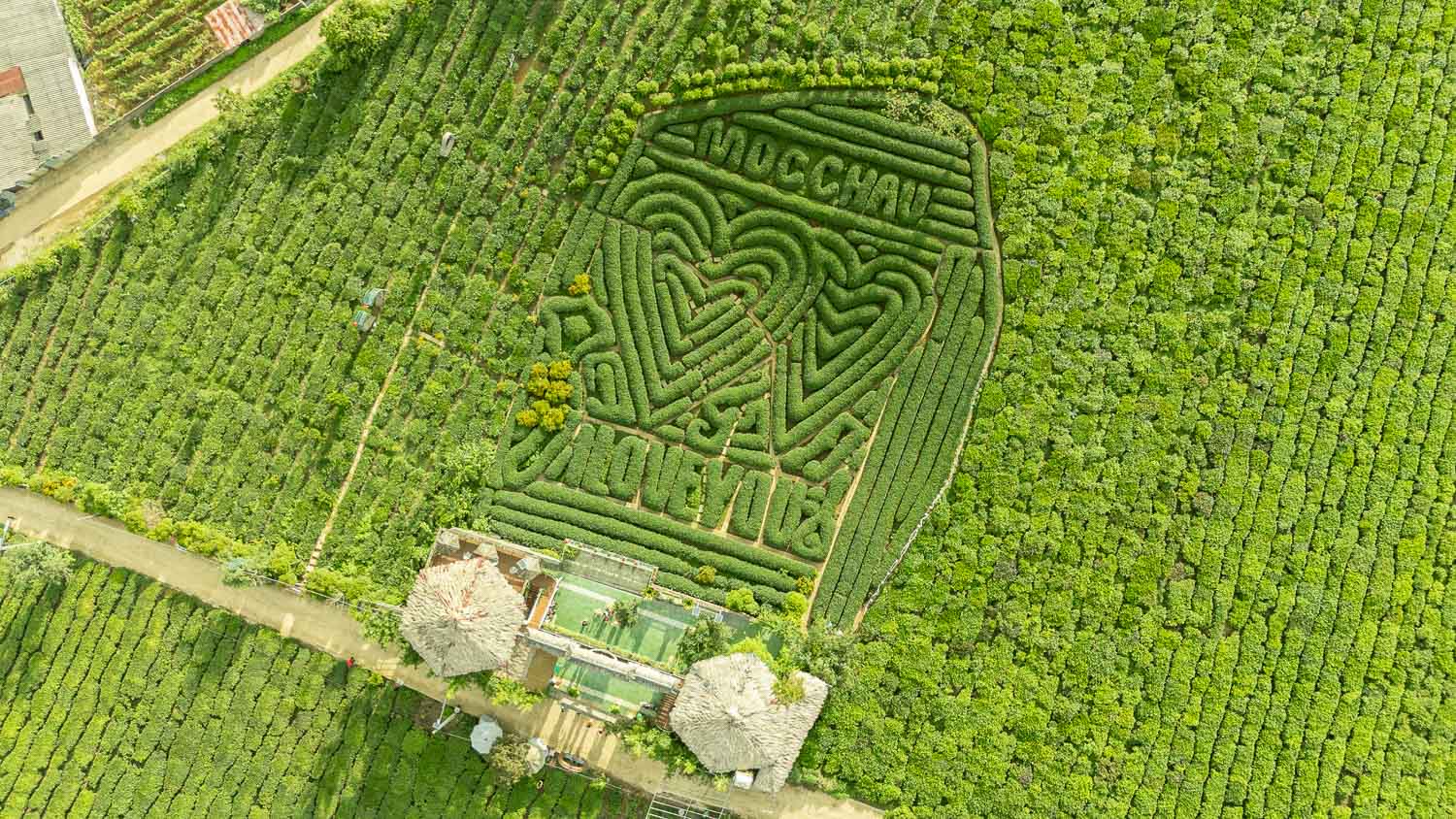 山丘上的夢幻觀景台Mocha Hill!木州最療癒的茶園景點,岩石尖的天空之門超唯美 - 第12張圖