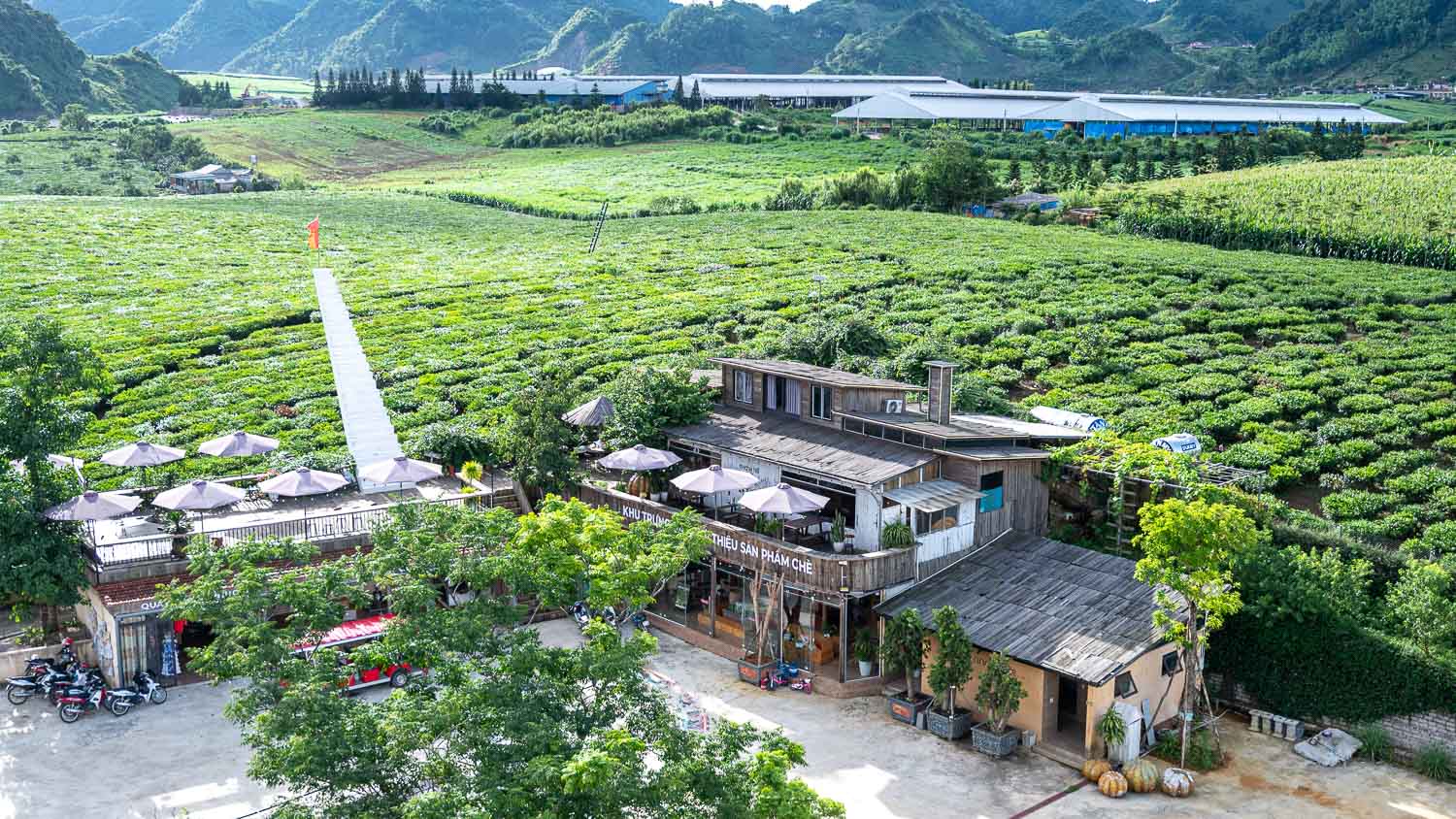 山丘上的夢幻觀景台Mocha Hill!木州最療癒的茶園景點,岩石尖的天空之門超唯美 - 第9張圖