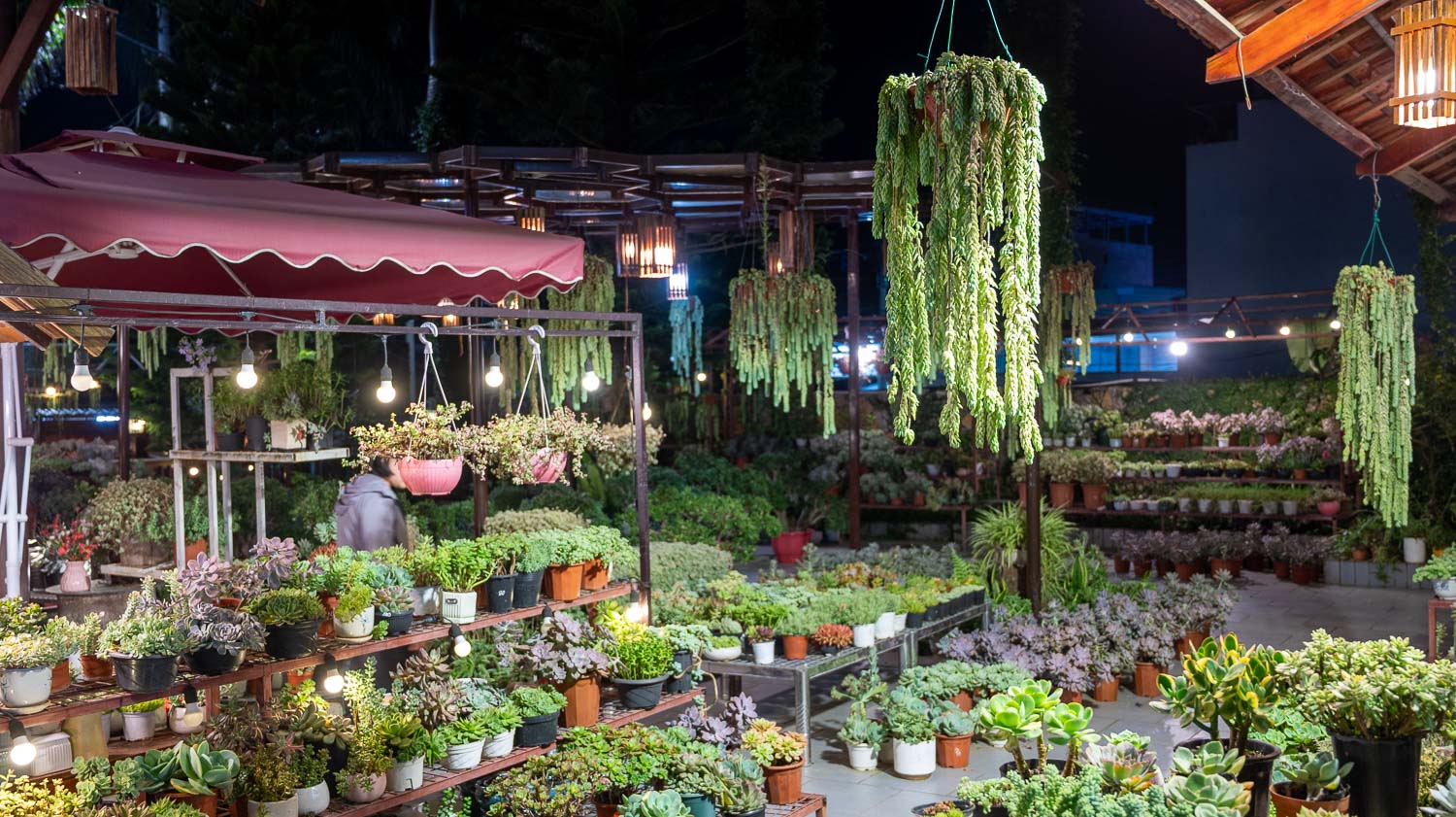 逛木州夜市竟然要收門票!CHỢ ĐÊM MỘC CHÂU超乎預期,少數民族的夜間風情魅力全開與熱鬧氛圍 - 第6張圖