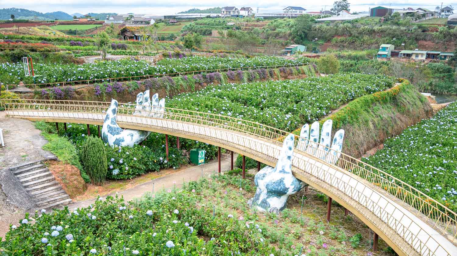 擁抱大叻無限浪漫!沉浸Catuka garden & coffee的夢幻花海,沉醉在繡球花的繽紛世界 - 第7張圖