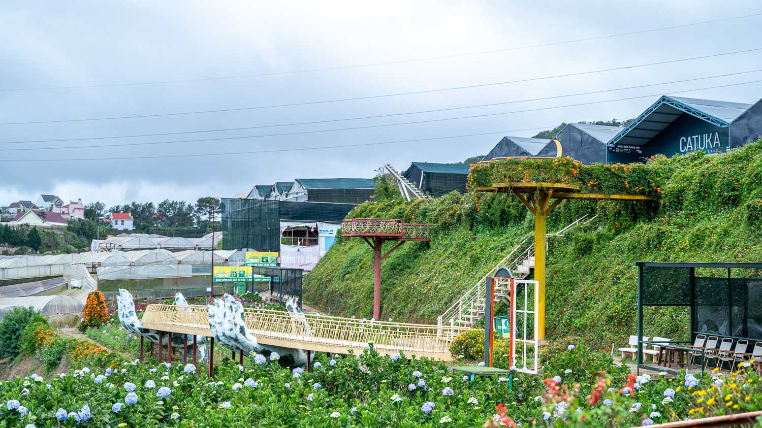 擁抱大叻無限浪漫!沉浸Catuka garden & coffee的夢幻花海,沉醉在繡球花的繽紛世界 - 第4張圖