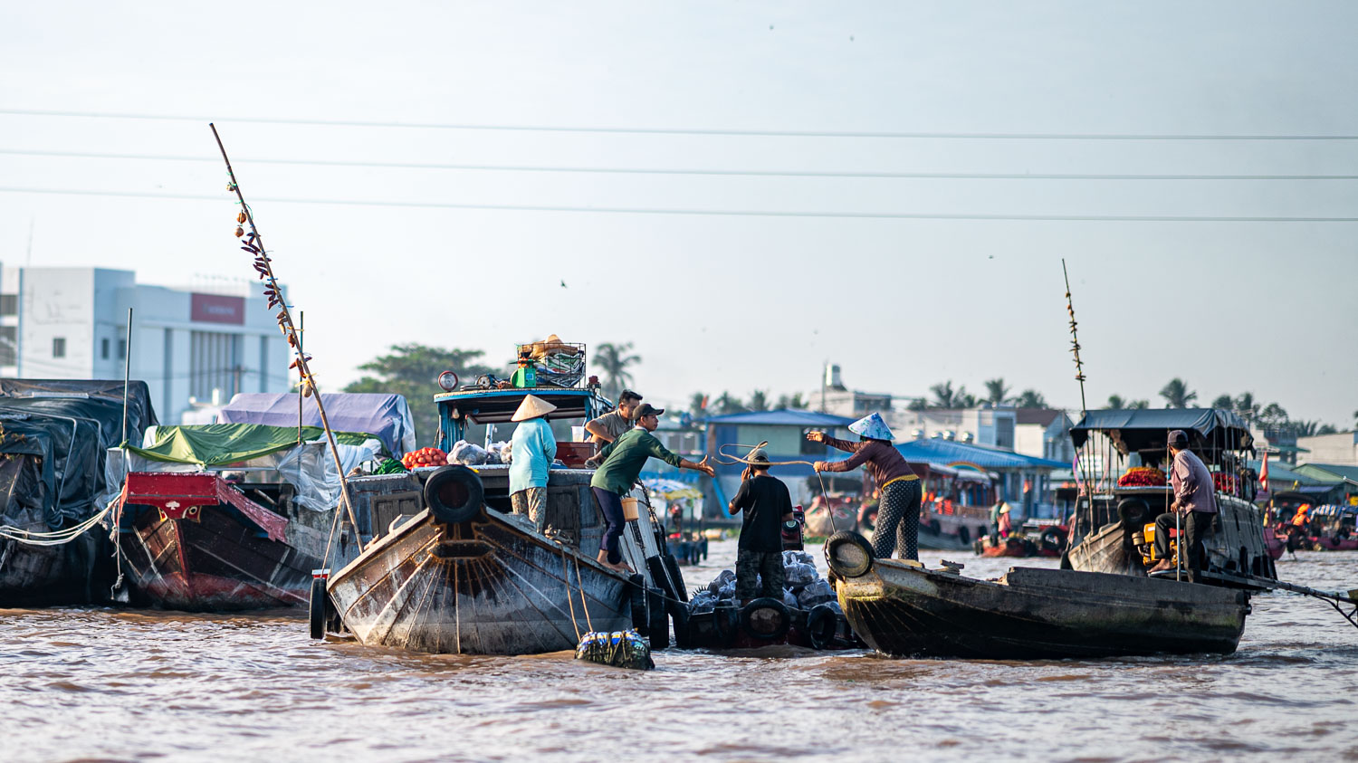 清晨限定的越南奇景 Cai Rang Floating Market!丐冷水上市場感受最真實的越南生活畫面 - 第1張圖