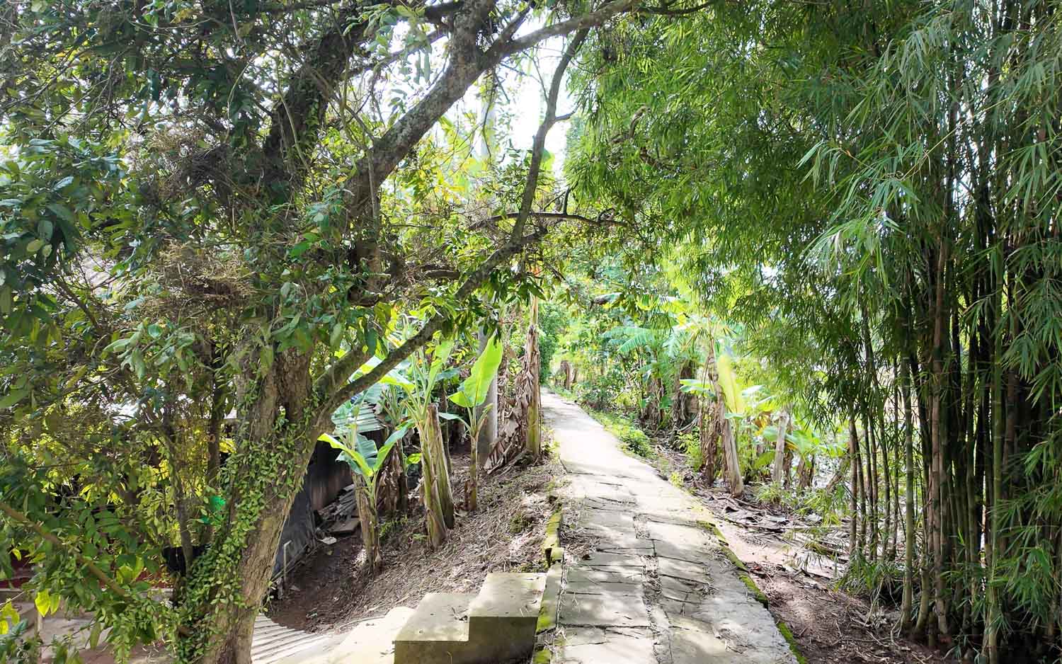 Cồn Sơn 山洲島|芹苴最純樸的生態小島,在湄公河懷抱中感受越南水上農村生活 - 第11張圖