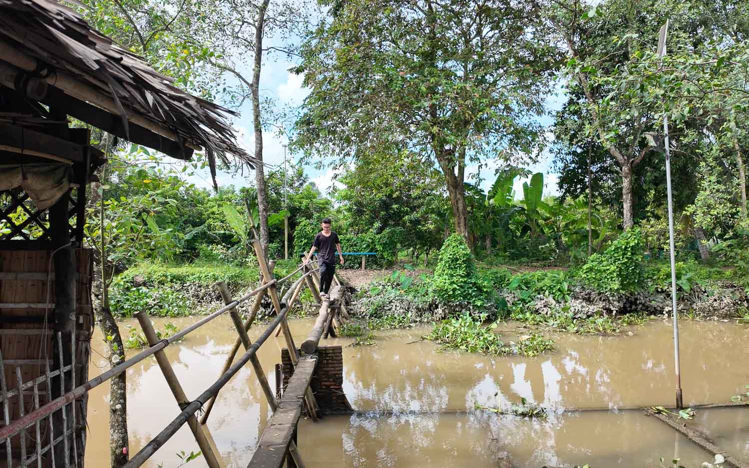Cồn Sơn 山洲島|芹苴最純樸的生態小島,在湄公河懷抱中感受越南水上農村生活 - 第12張圖
