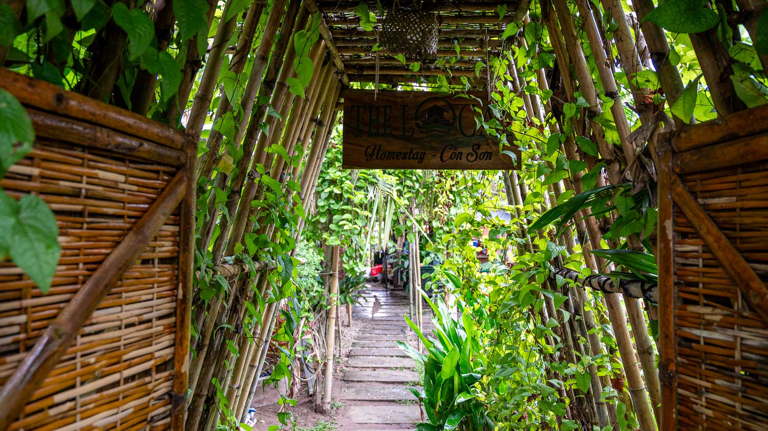 Cồn Sơn 山洲島|芹苴最純樸的生態小島,在湄公河懷抱中感受越南水上農村生活 - 第13張圖
