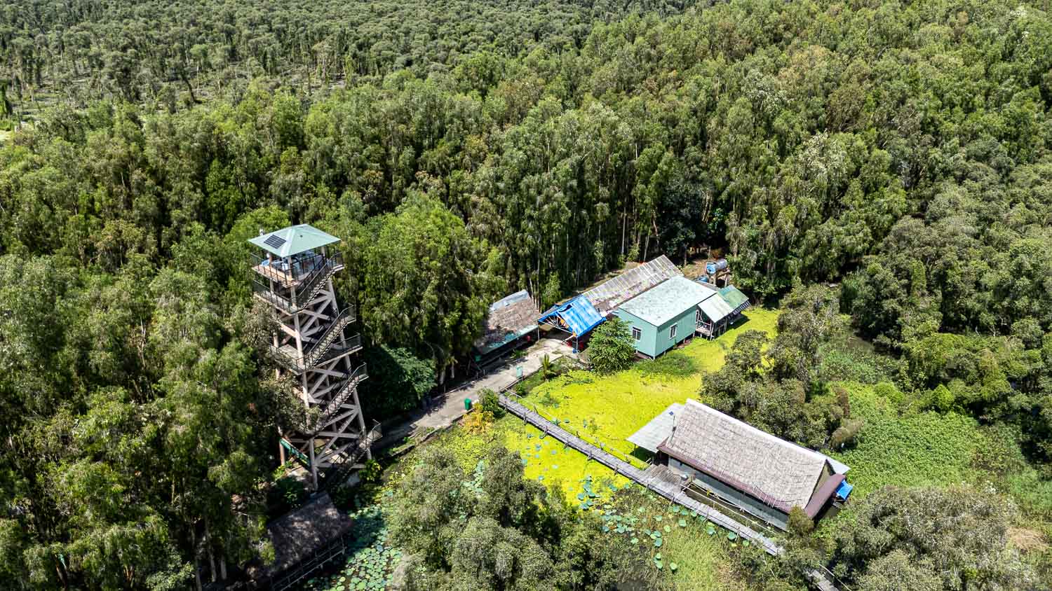 探訪安江秘境|靜得只剩鳥鳴與心跳的綠色夢境,在Tra Su Cajuput Forest感受當世界慢下來片刻 - 第5張圖