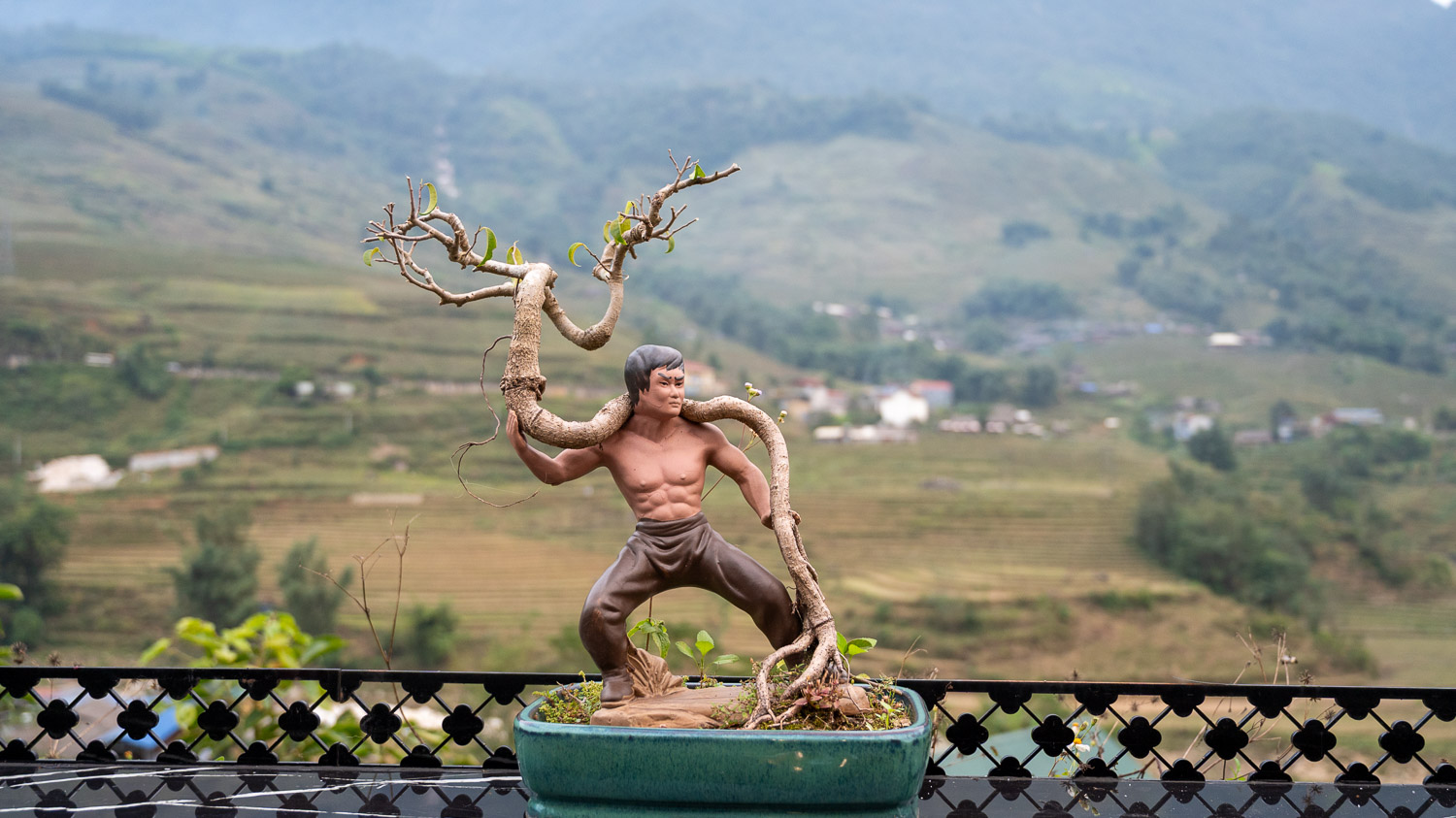 珍藏SA PA附近梯田村落療癒時光!漫步Ta Van村落純樸的山谷生活及享受 Lá Dao Spa 紅傜族木桶藥浴 - 第11張圖