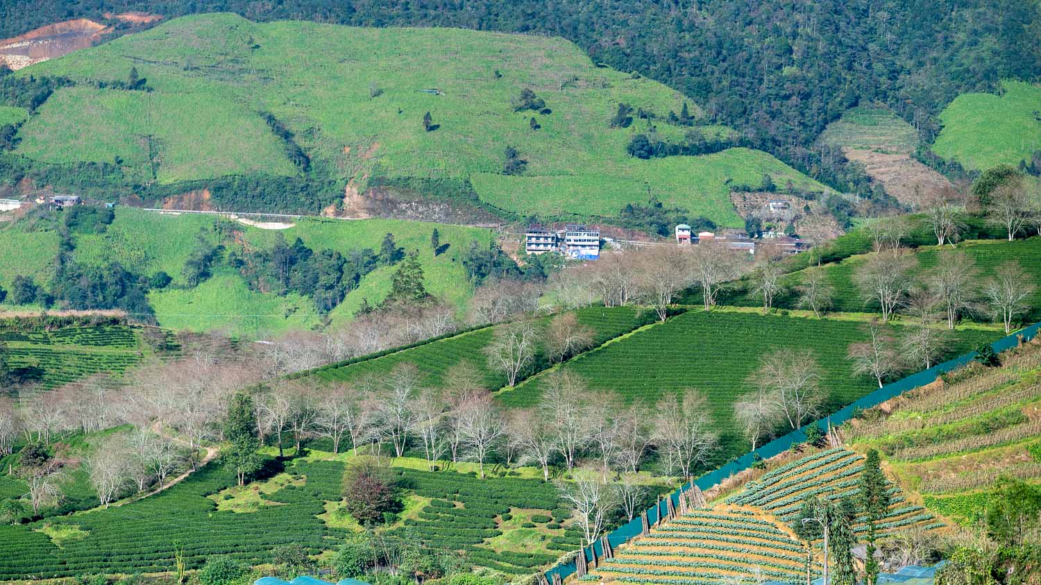 菜鳥和懶人懂的沙壩自由行攻略｜從3天2夜快閃到7天6夜深度之旅秒安排，輕鬆拿捏交通及吃喝玩樂超實用懶人包