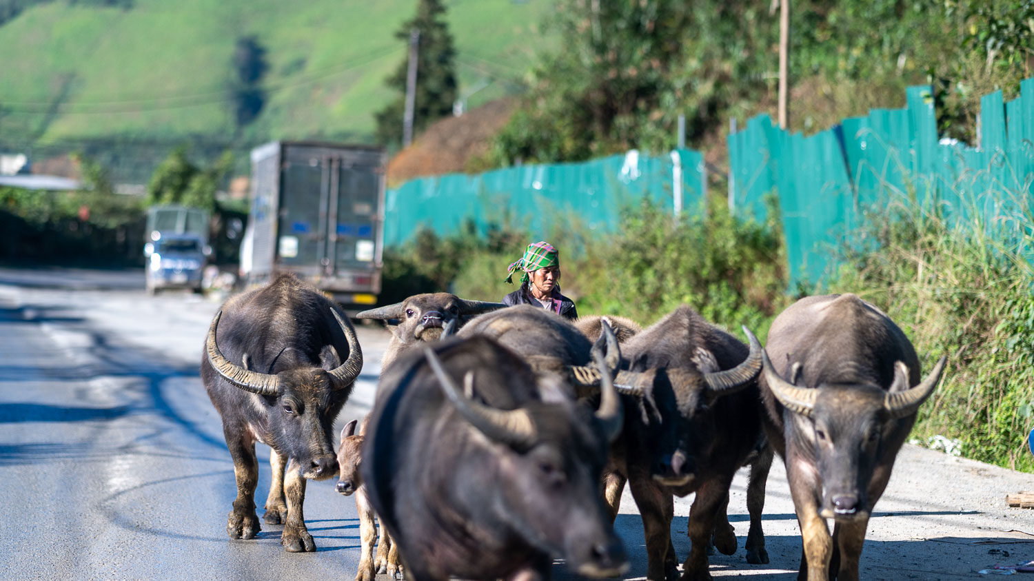 菜鳥和懶人懂的沙壩自由行攻略｜從3天2夜快閃到7天6夜深度之旅秒安排，輕鬆拿捏交通及吃喝玩樂超實用懶人包