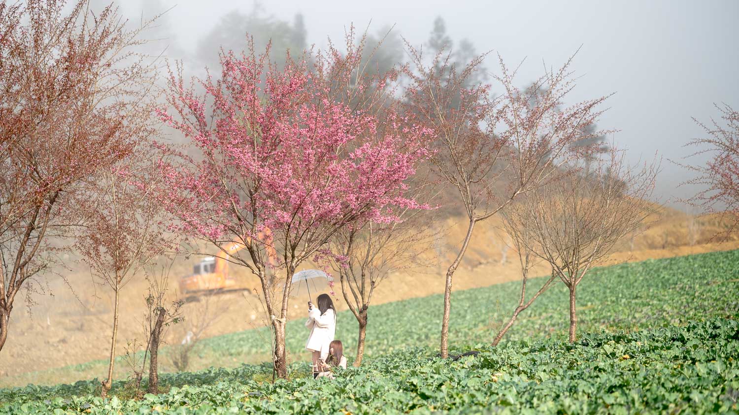 菜鳥和懶人懂的沙壩自由行攻略｜從3天2夜快閃到7天6夜深度之旅秒安排，輕鬆拿捏交通及吃喝玩樂超實用懶人包
