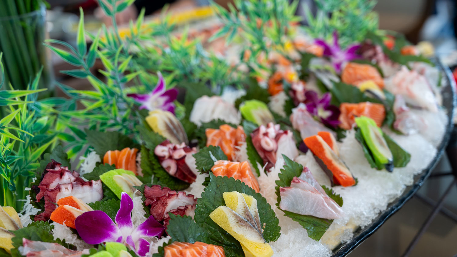 想輕鬆看下龍灣？比觀光船更高級的選擇 Paradise Delight 日遊船行程與亮點整理