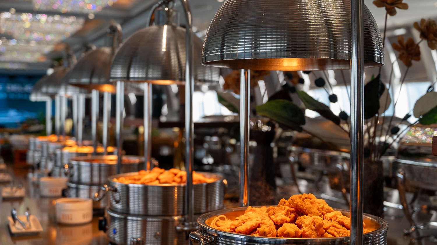 想輕鬆看下龍灣？比觀光船更高級的選擇 Paradise Delight 日遊船行程與亮點整理