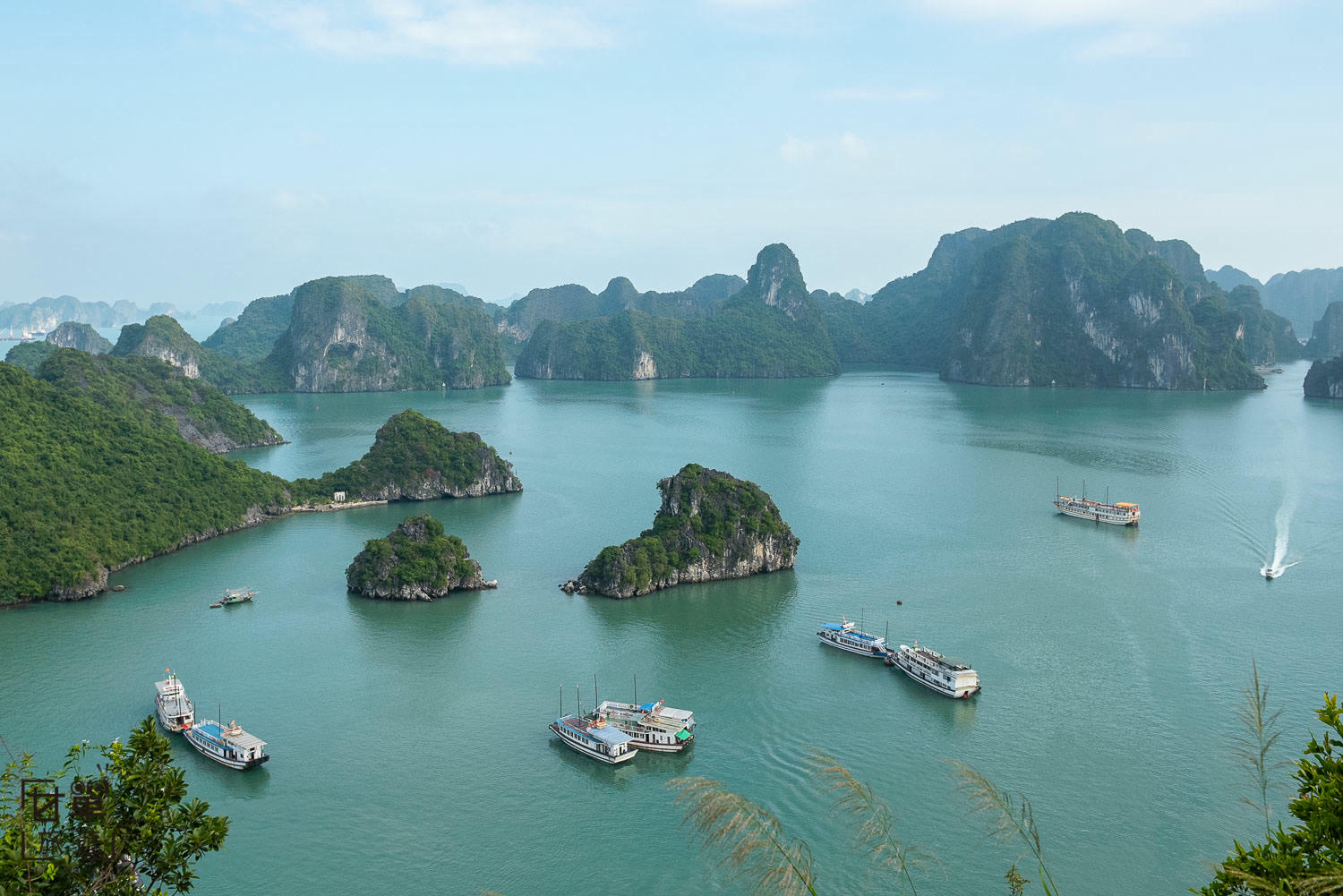 想輕鬆看下龍灣？比觀光船更高級的選擇 Paradise Delight 日遊船行程與亮點整理