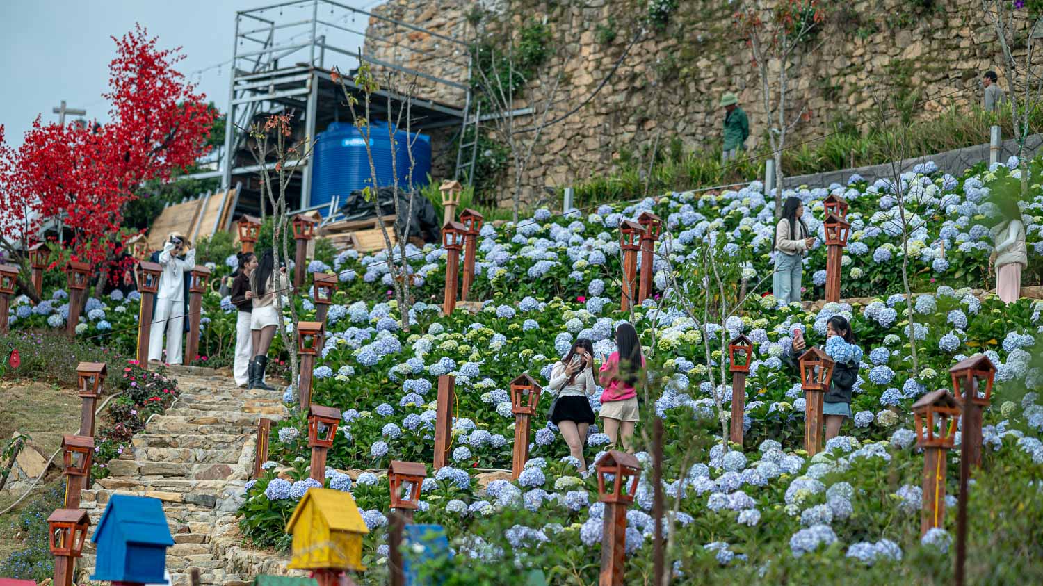 河內週末去哪兒？三島 Tam Đảo 的慢活時光：漫山雲霧歐風城堡遊石頭老教堂及品嚐特色佳餚