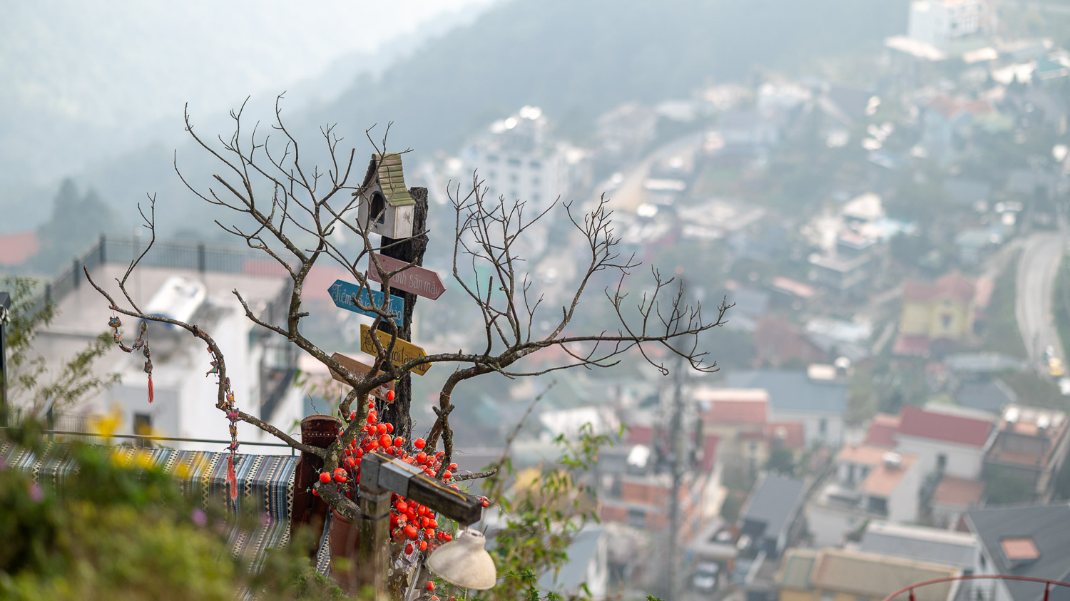 河內週末去哪兒？三島 Tam Đảo 的慢活時光：漫山雲霧歐風城堡遊石頭老教堂及品嚐特色佳餚
