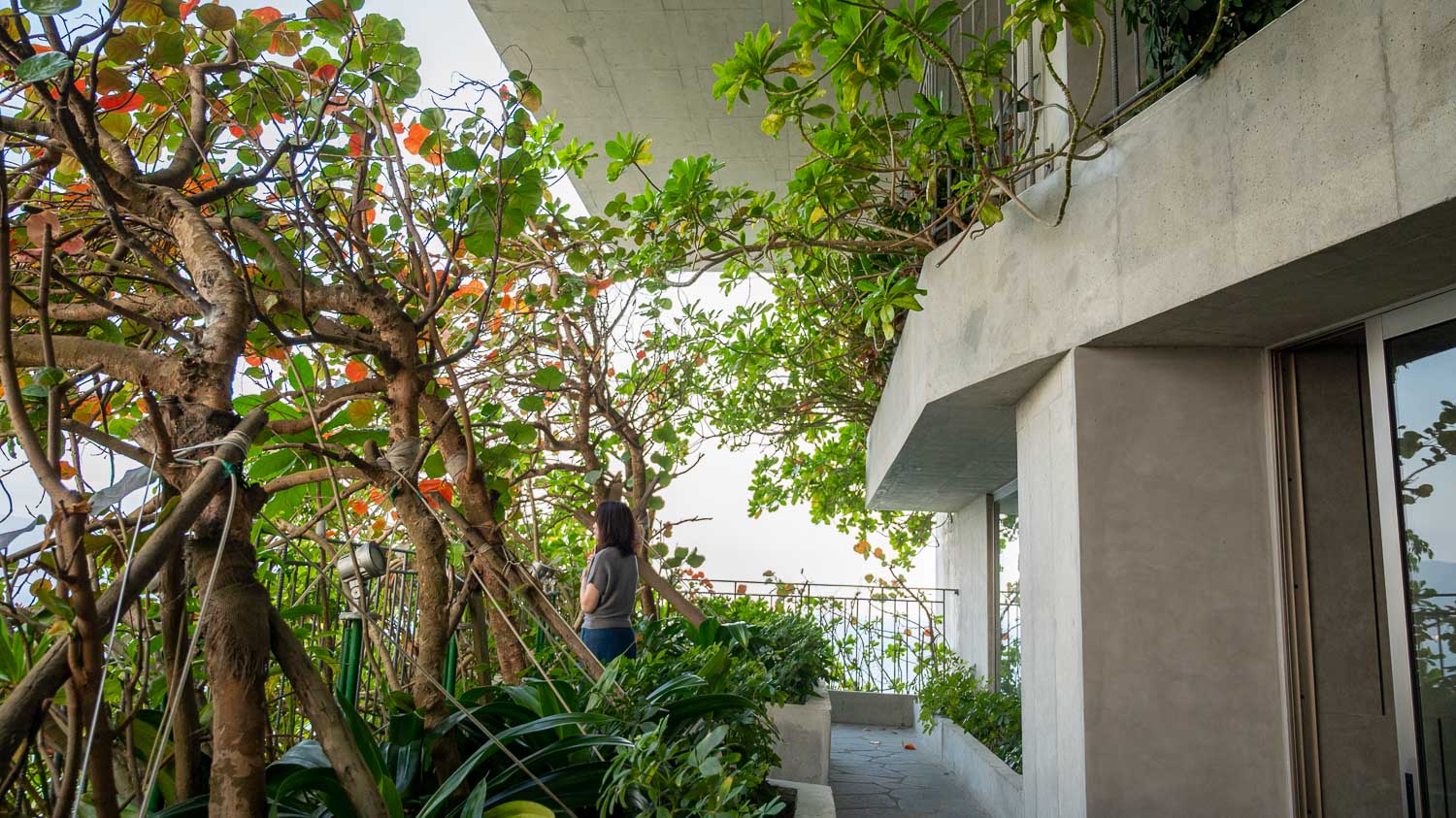 重拾蜜月時光復刻浪漫！峴港 M Hotel 的最美無邊際泳池及享受經典早餐，老夫老妻二度蜜月首選