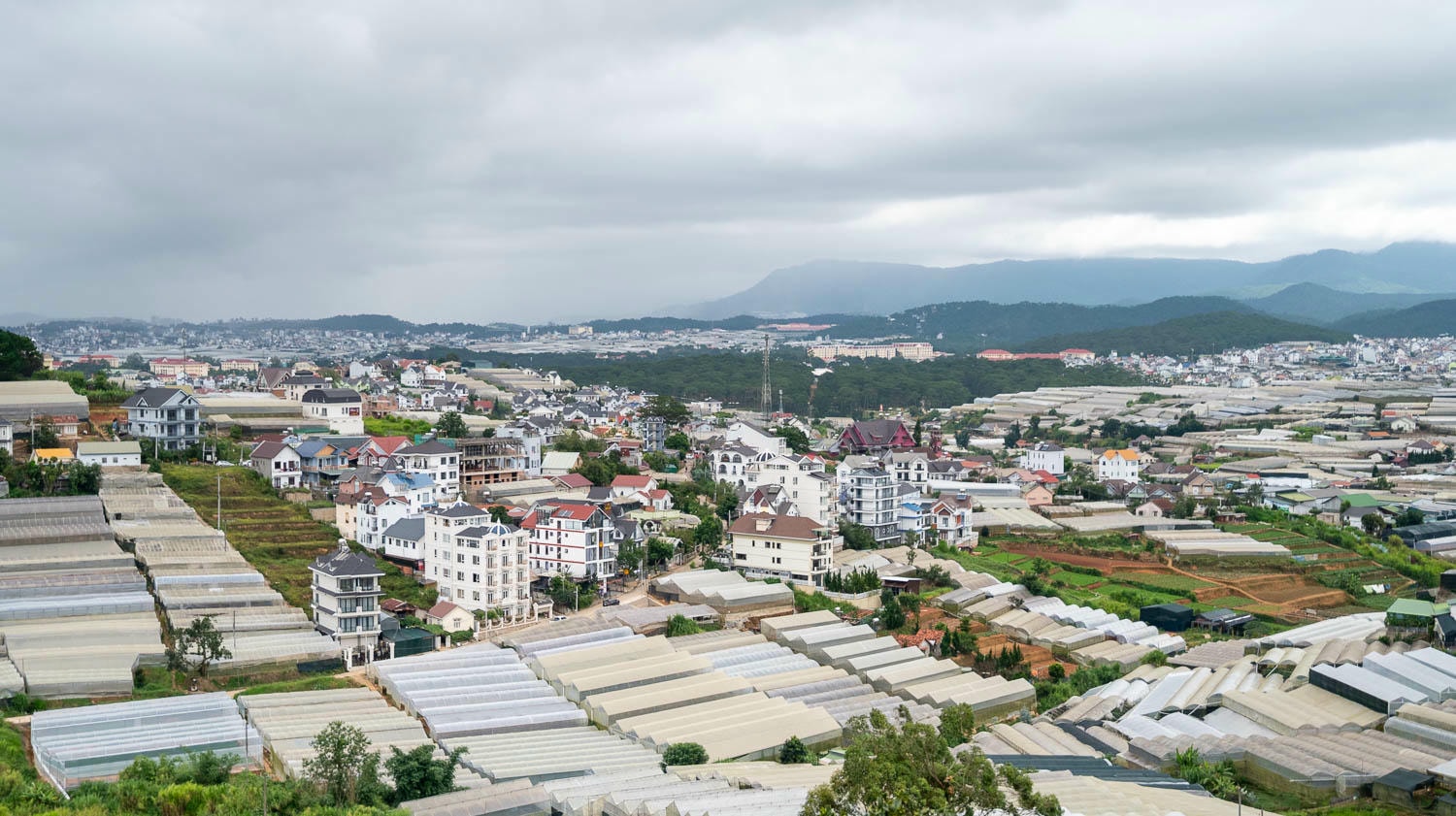 大叻景點 Làng Vũ Thị 咖啡廳首選：初遇傳說中的山谷燈海！從清新山景到璀璨燈火的二種風情