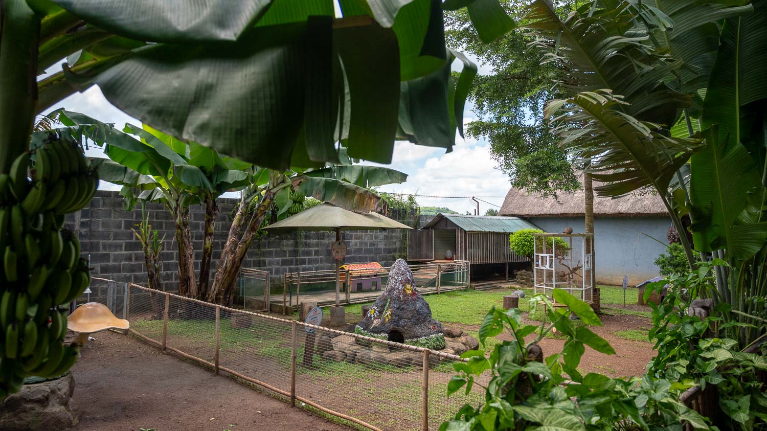 邦美蜀必去景點:Vanlong Elephants Farm 大象農場完整遊記與實用攻略 - 第1張圖 邦美蜀必去景點:Vanlong Elephants Farm 大象農場完整遊記與實用攻略