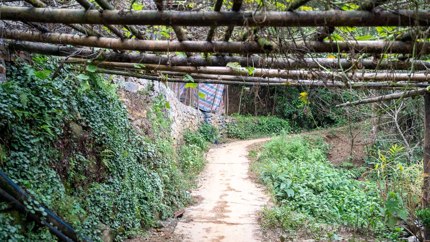 居高臨下的沙壩秘境:雲端視角下的山谷美景與靜謐梯田,從 Sa Pa Sha 開始的轉念之旅 - 第7張圖 居高臨下的沙壩秘境:雲端視角下的山谷美景與靜謐梯田,從 Sa Pa Sha 開始的轉念之旅