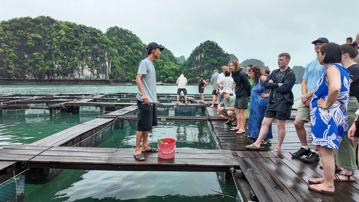 吉婆島出發:探訪蘭夏灣木船一日遊,避開人潮獨享越南海上靜謐! - 第5張圖 吉婆島出發:探訪蘭夏灣木船一日遊,避開人潮獨享越南海上靜謐!