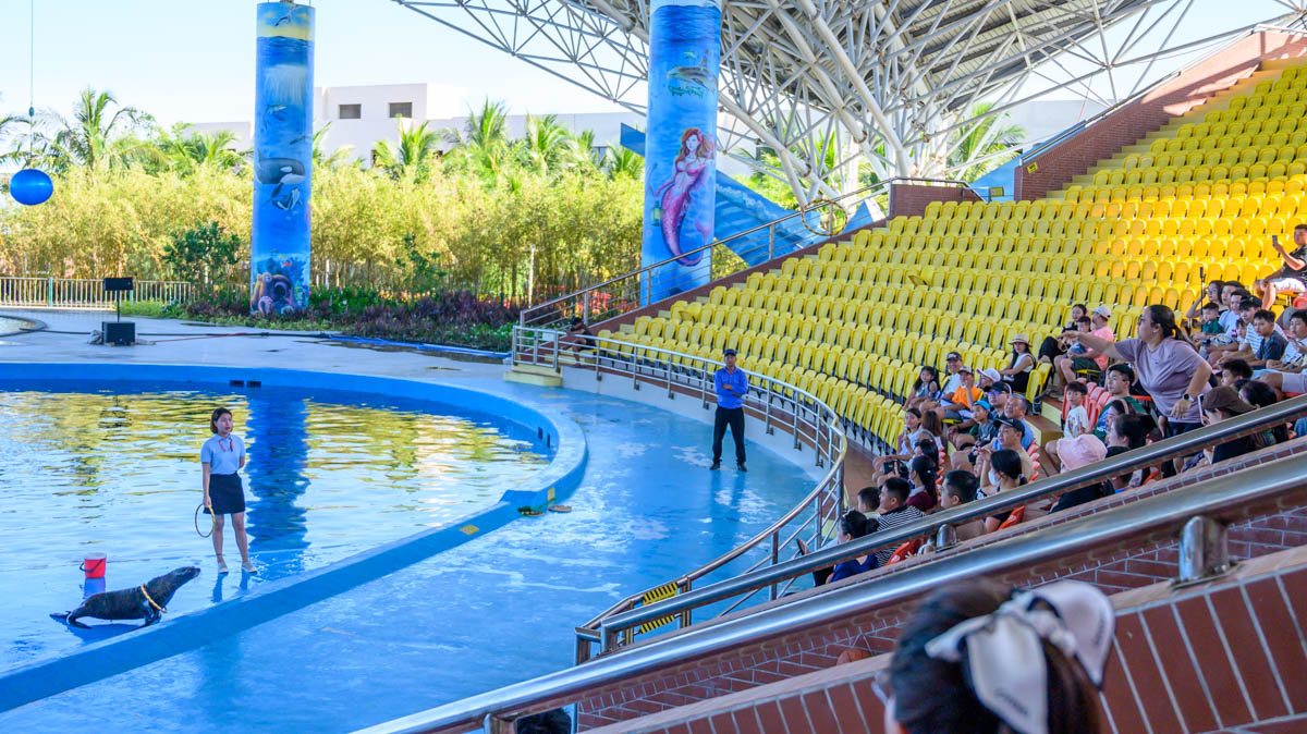 峴港親子新景點!DA NANG DOLPHINARIUM 海豚海獅萌力全開,親子必衝超好玩海洋樂園! - 第5張圖 峴港親子新景點!DA NANG DOLPHINARIUM 海豚海獅萌力全開,親子必衝超好玩海洋樂園!