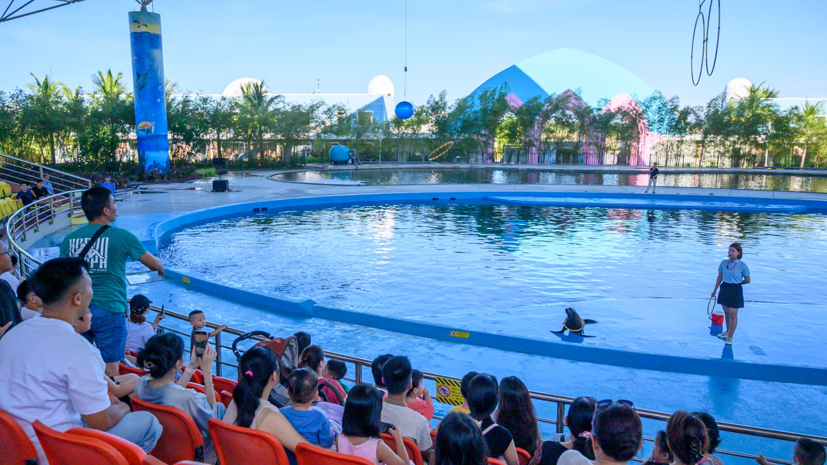 峴港親子新景點!DA NANG DOLPHINARIUM 海豚海獅萌力全開,親子必衝超好玩海洋樂園! - 第7張圖 峴港親子新景點!DA NANG DOLPHINARIUM 海豚海獅萌力全開,親子必衝超好玩海洋樂園!