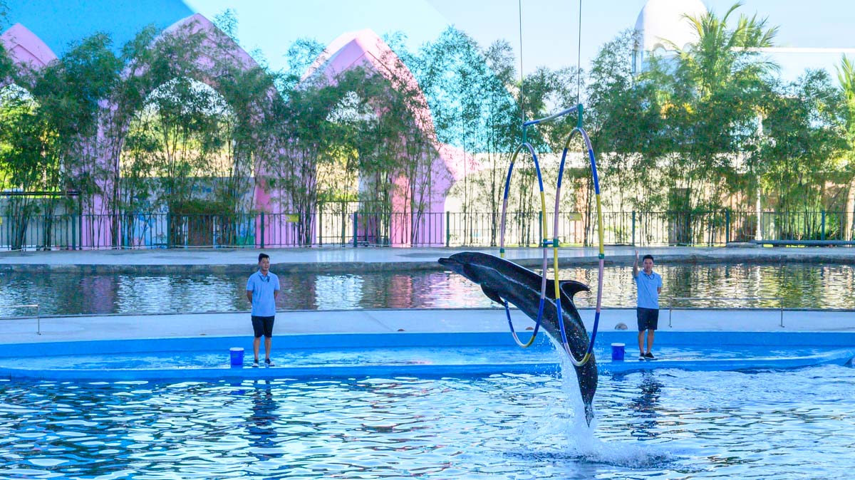 峴港親子新景點!DA NANG DOLPHINARIUM 海豚海獅萌力全開,親子必衝超好玩海洋樂園! - 第8張圖 峴港親子新景點!DA NANG DOLPHINARIUM 海豚海獅萌力全開,親子必衝超好玩海洋樂園!