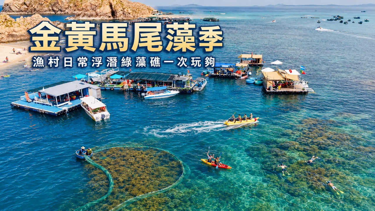 首頁